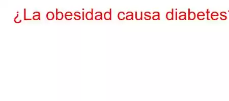 ¿La obesidad causa diabetes?