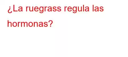 ¿La ruegrass regula las hormonas?