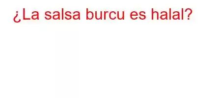 ¿La salsa burcu es halal?