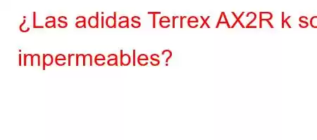 ¿Las adidas Terrex AX2R k son impermeables?