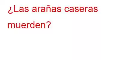 ¿Las arañas caseras muerden