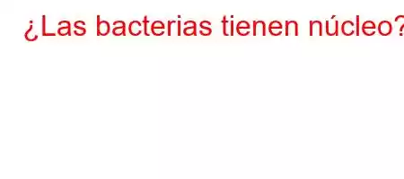 ¿Las bacterias tienen núcleo?