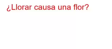 ¿Llorar causa una flor