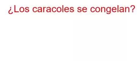 ¿Los caracoles se congelan?