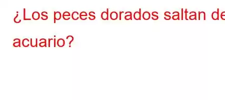 ¿Los peces dorados saltan del acuario