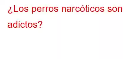 ¿Los perros narcóticos son adictos?