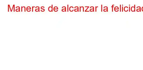 Maneras de alcanzar la felicidad