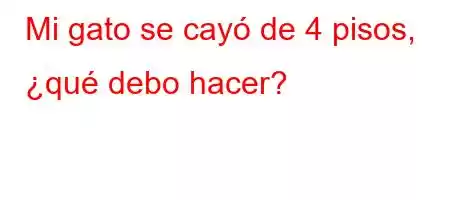 Mi gato se cayó de 4 pisos, ¿qué debo hacer?