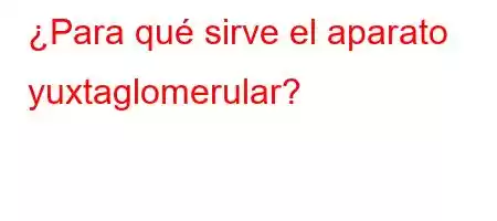 ¿Para qué sirve el aparato yuxtaglomerular