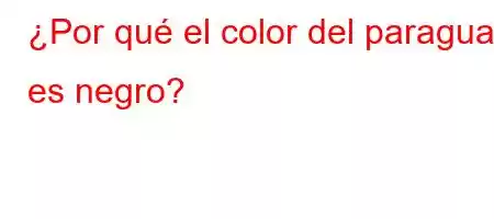 ¿Por qué el color del paraguas es negro