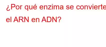 ¿Por qué enzima se convierte el ARN en ADN