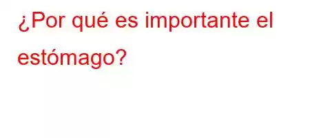 ¿Por qué es importante el estómago?