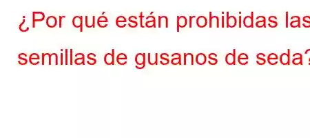 ¿Por qué están prohibidas las semillas de gusanos de seda?