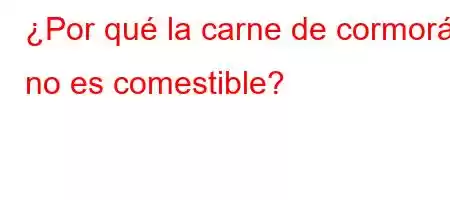 ¿Por qué la carne de cormorán no es comestible?