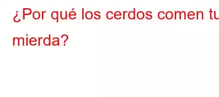 ¿Por qué los cerdos comen tu mierda?