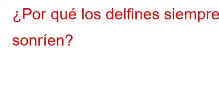 ¿Por qué los delfines siempre sonríen?