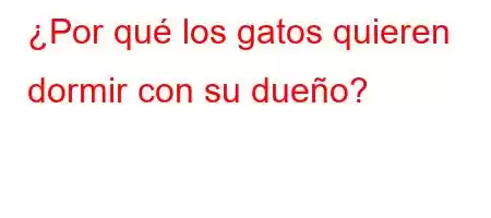 ¿Por qué los gatos quieren dormir con su dueño?