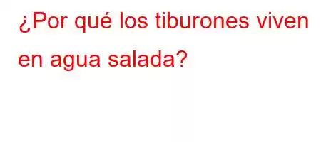 ¿Por qué los tiburones viven en agua salada?