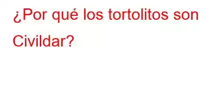 ¿Por qué los tortolitos son Civildar