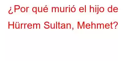 ¿Por qué murió el hijo de Hürrem Sultan, Mehmet?