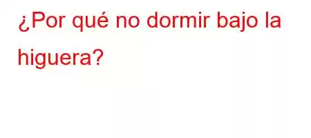 ¿Por qué no dormir bajo la higuera?