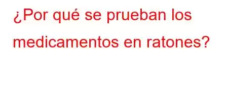 ¿Por qué se prueban los medicamentos en ratones?