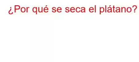 ¿Por qué se seca el plátano?