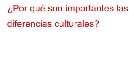 ¿Por qué son importantes las diferencias culturales