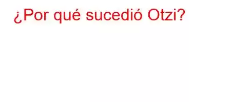 ¿Por qué sucedió Otzi?