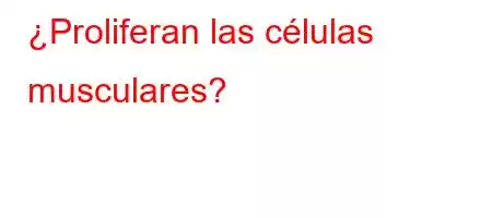 ¿Proliferan las células musculares?