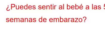 ¿Puedes sentir al bebé a las 5 semanas de embarazo?