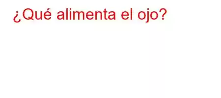 ¿Qué alimenta el ojo?