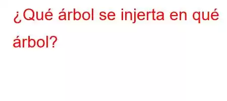 ¿Qué árbol se injerta en qué árbol?