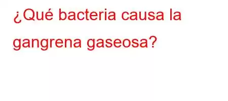 ¿Qué bacteria causa la gangrena gaseosa