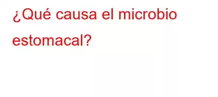 ¿Qué causa el microbio estomacal?