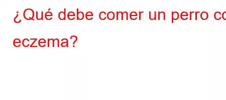 ¿Qué debe comer un perro con eczema?