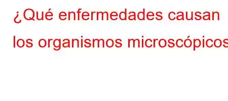 ¿Qué enfermedades causan los organismos microscópicos