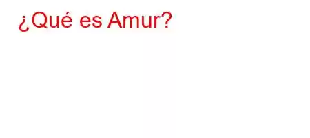 ¿Qué es Amur