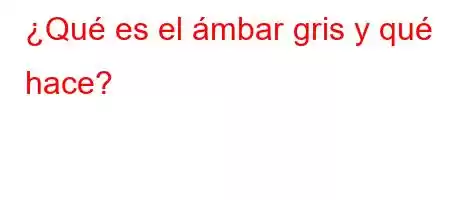 ¿Qué es el ámbar gris y qué hace?