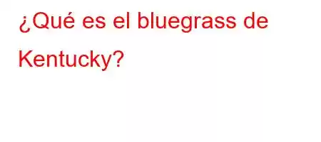 ¿Qué es el bluegrass de Kentucky?