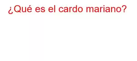 ¿Qué es el cardo mariano