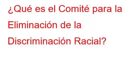 ¿Qué es el Comité para la Eliminación de la Discriminación Racial?