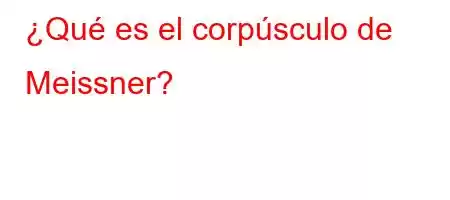 ¿Qué es el corpúsculo de Meissner?