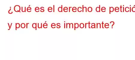 ¿Qué es el derecho de petición y por qué es importante?