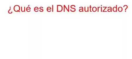 ¿Qué es el DNS autorizado?