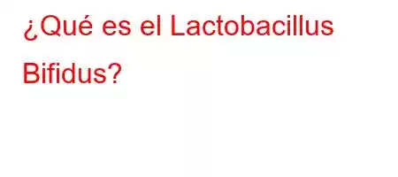 ¿Qué es el Lactobacillus Bifidus?