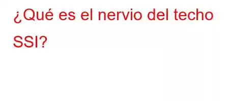 ¿Qué es el nervio del techo SSI?