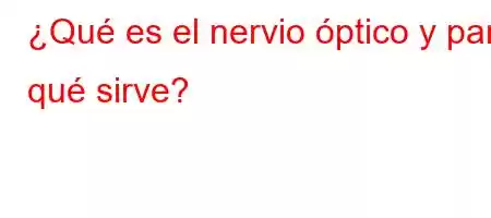 ¿Qué es el nervio óptico y para qué sirve?