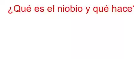 ¿Qué es el niobio y qué hace?