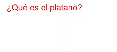 ¿Qué es el platano